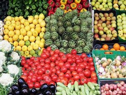 Siasat Penuhi Kebutuhan Protein Bagi Vegetarir