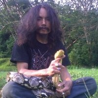 Limbad Tangkap 12 Ular Sanca di Perumahan Pondok Hijau Indah Limbad Tangkap 12 Ular Sanca di Perumahan Pondok Hijau Indah