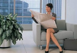  Karyawan Lebih Tahan Stres Jika di Ruang Kerja Ada Tanaman