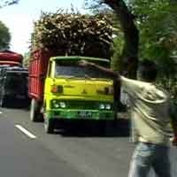 Truk Pengangkut Tebu di Sweeping, Lalin Pantura Terganggu