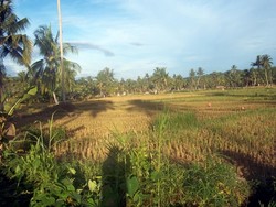 Pelesir ke Nias Barat (1): Gunungsitoli-Sirombu Mulus