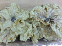 Renyah Gurih Rempeyek Bunga Raya