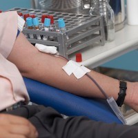 Tips Sebelum Melakukan Donor Darah