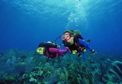 Wakatobi Pamornya Mendunia Tapi Belum Punya Rumah Sakit