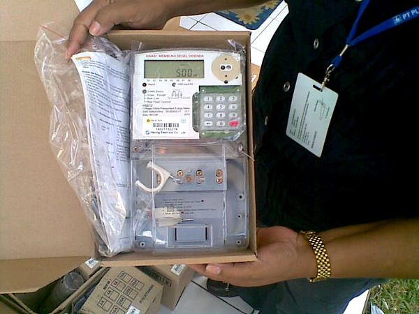 PLN Luncurkan Go Grass 2