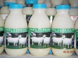 Susu Kambing Untuk yang Alergi Susu