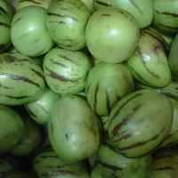 Buah Pepino Mampu Turunkan Berat Badan