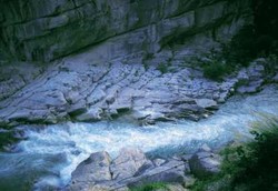 Sanitasi Buruk Mencemari Sungai di Jawa, Sumatera, Bali