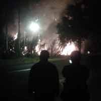 Lima Hektar Kebun Tebu Ludes Terbakar