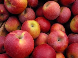 Makan Apel Jantung Jadi Sehat