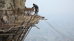 Ini Dia Pekerjaan Paling Berbahaya di Dunia