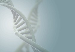 Tes Genetik Bisa Memprediksi Kesehatan untuk Masa Depan