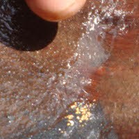 Lho! Ternyata Benar Ada Emas di Sungai Logawa