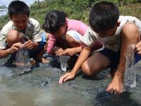 Warga Masih Ramai Mencari Emas di Sungai 