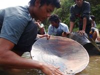 Ada Emas di Sungai Logawa