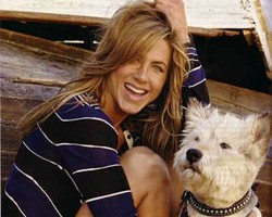 Norman, Jadi Tato Baru di Tubuh Jennifer Aniston