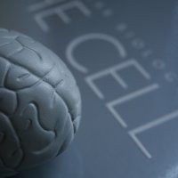  Buat Apa Beli Smartphone?