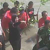 Komunitas Pelangi Tanam Seribu Mangrove di Pantai Kenjeran