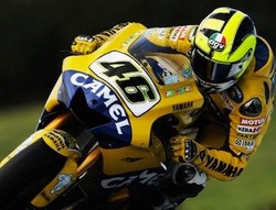 Teknik Persiapan Performance Riding