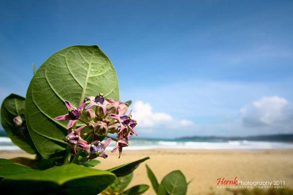 Pantai Sawarana, Pantai Seribu Warna