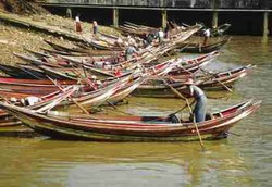 Cacing Pita di Sungai Mekong Menularkan Kanker