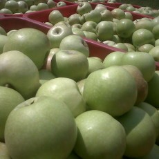 Ini Dia Alasan Buah Lokal Kalah Saing dengan Produk Impor