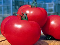 Momotaro Tomato, si Pinky Pahlawan Jepang