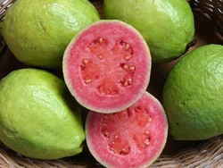 Pria Wajib Makan Jambu Biji