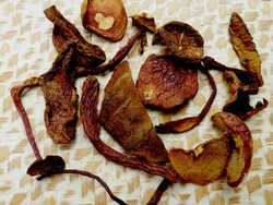 Lempah Kulat Pelawan