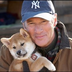 Yuk, Nonton Film Hachiko Gratis!