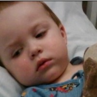 5 Jenis Makanan Balita yang Boleh Dimakan 