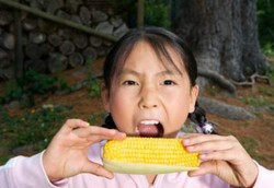 Jagung Memperkuat Tulang dan Gigi