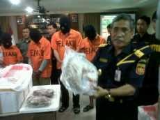 Trenggiling Marak Diselundupkan Karena Sisiknya Jadi Bahan Shabu