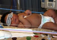 Bayi Laki-laki Lahir Dengan Berat 7,3 Kg  