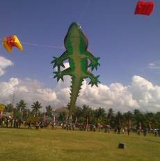 Wow, Buaya Raksasa Terbang di Langit Pangandaran