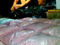 250 Ribu Pil Ekstasi Impor Disita