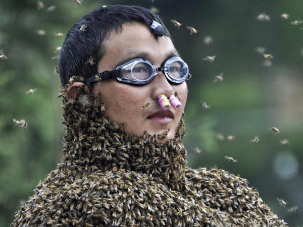 Kompetisi Manarik Lebah