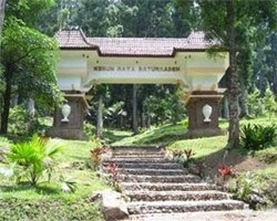 Menikmati Keindahan Air Terjun di Baturaden