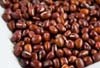 Apa Itu Kacang Azuki?