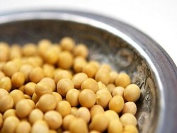 Cegah Diabetes dengan Kedelai