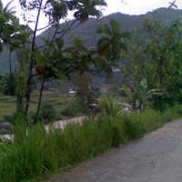 Kawasan Hambalang Masih di Luar Radar Pengembang Properti