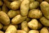 Memilih Kentang