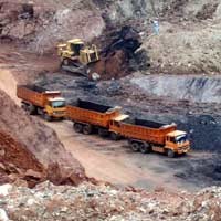 Menhut Tolak Pinjam Pakai Hutan untuk Tambang Batubara PT MIA