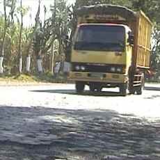 Jalur Pantura Situbondo Diperkirakan Rusak 15 Km