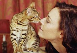 Parasit pada Kucing Diduga Meningkatkan Risiko Kanker Otak