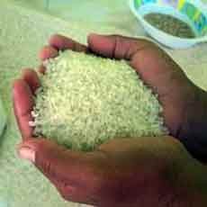 Harga Beras di Malang Mulai Merangkak Naik