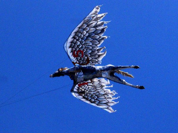 Layang-Layang Membelah Angkasa Bali