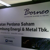 Laba Borneo Lumbung Energi Melesat 3904%