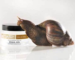 Trend Baru: Sembuhkan Jerawat dengan Ekstrak Siput