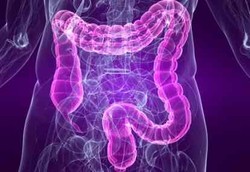 Penelitian Terbaru Buktikan Cuci Usus Tidak Bermanfaat